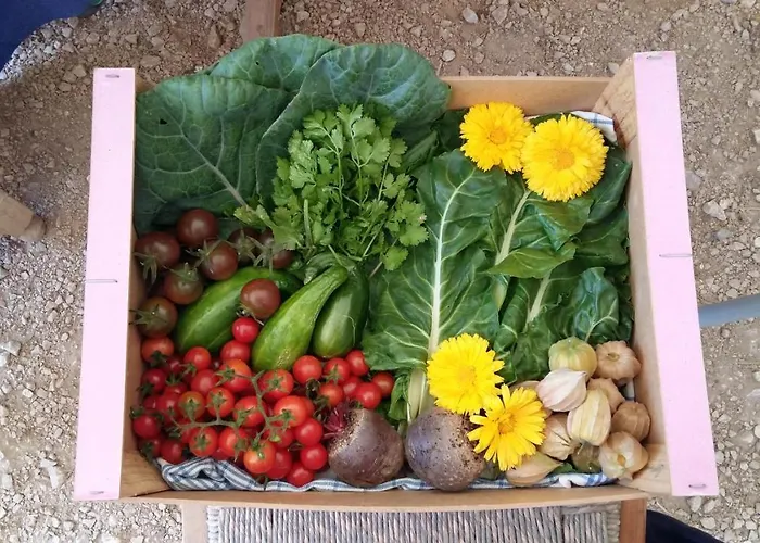 Casa vacanze New Built Studio, In Nature Close To The *